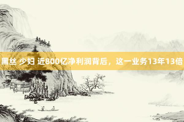 黑丝 少妇 近800亿净利润背后，这一业务13年13倍