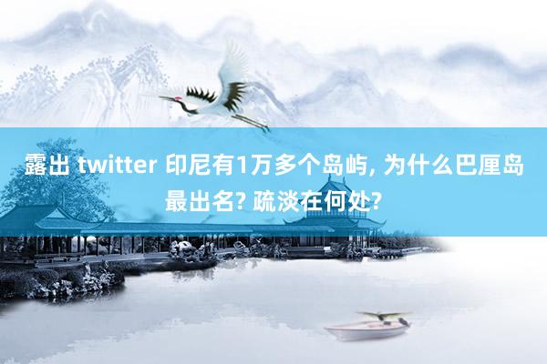 露出 twitter 印尼有1万多个岛屿， 为什么巴厘岛最出名? 疏淡在何处?