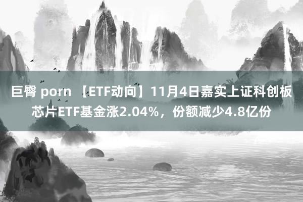 巨臀 porn 【ETF动向】11月4日嘉实上证科创板芯片ETF基金涨2.04%，份额减少4.8亿份