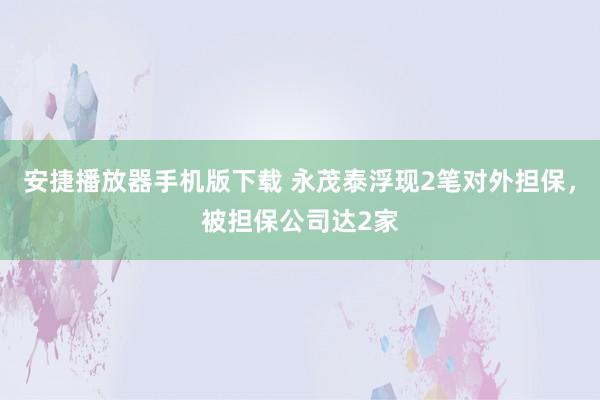 安捷播放器手机版下载 永茂泰浮现2笔对外担保，被担保公司达2家