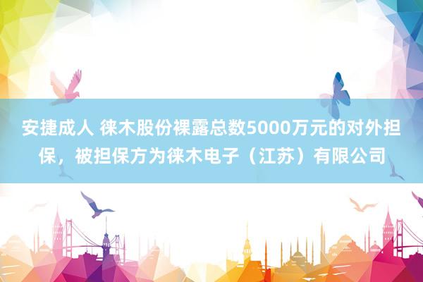 安捷成人 徕木股份裸露总数5000万元的对外担保，被担保方为徕木电子（江苏）有限公司