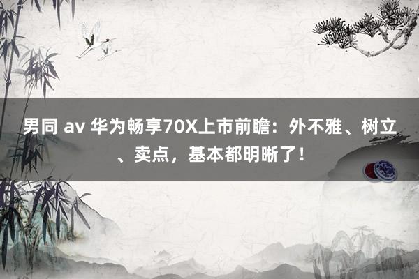 男同 av 华为畅享70X上市前瞻：外不雅、树立、卖点，基本都明晰了！