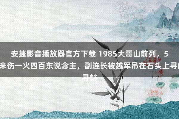 安捷影音播放器官方下载 1985大哥山前列，50米伤一火四百东说念主，副连长被越军吊在石头上寻衅