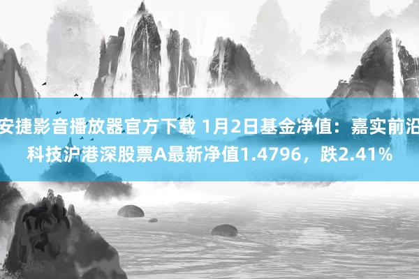 安捷影音播放器官方下载 1月2日基金净值：嘉实前沿科技沪港深股票A最新净值1.4796，跌2.41%