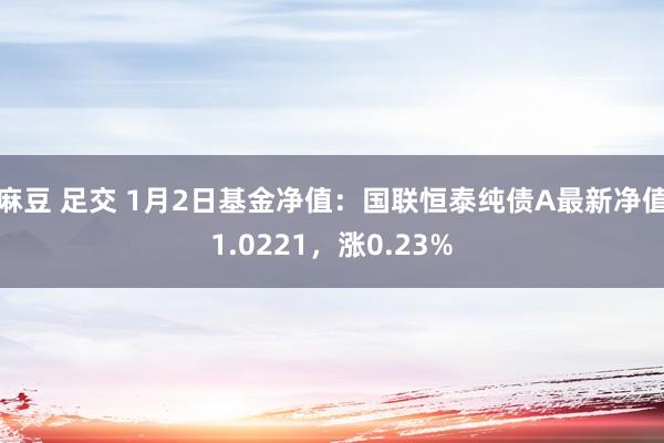 麻豆 足交 1月2日基金净值：国联恒泰纯债A最新净值1.0221，涨0.23%