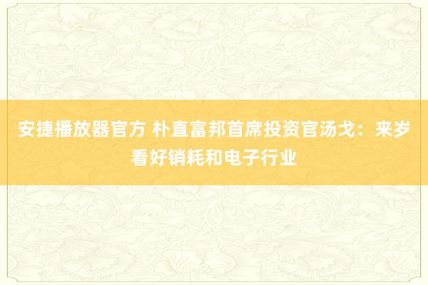 安捷播放器官方 朴直富邦首席投资官汤戈：来岁看好销耗和电子行业