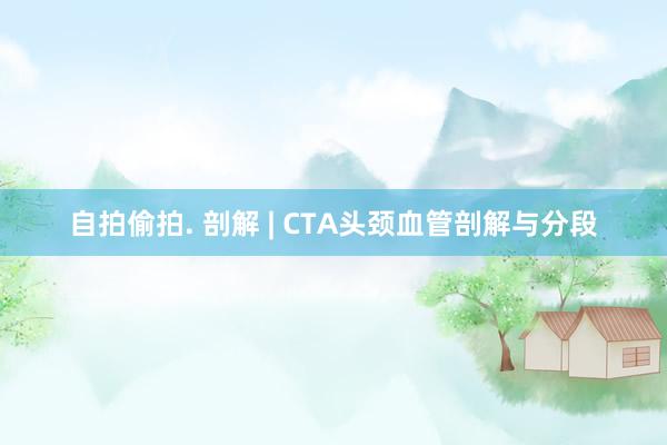 自拍偷拍. 剖解 | CTA头颈血管剖解与分段