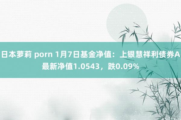 日本萝莉 porn 1月7日基金净值：上银慧祥利债券A最新净值1.0543，跌0.09%