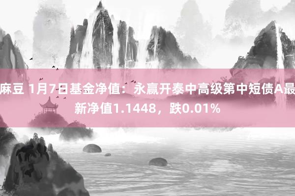 麻豆 1月7日基金净值：永赢开泰中高级第中短债A最新净值1.1448，跌0.01%