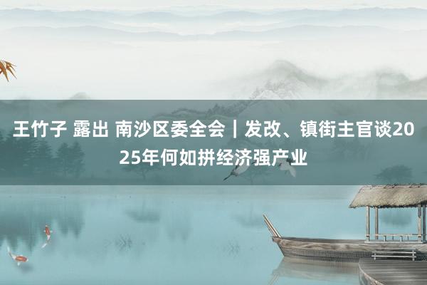 王竹子 露出 南沙区委全会｜发改、镇街主官谈2025年何如拼经济强产业