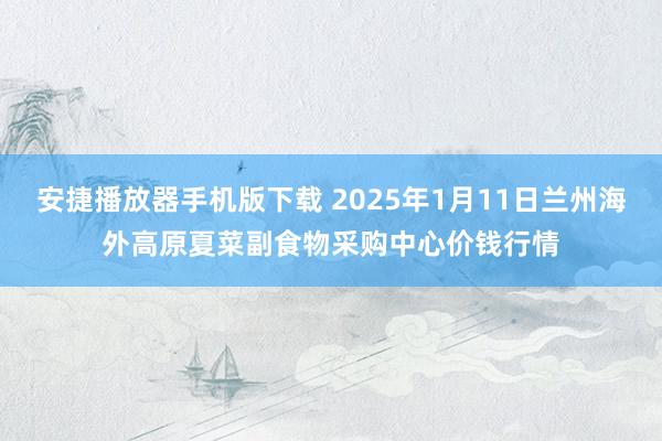 安捷播放器手机版下载 2025年1月11日兰州海外高原夏菜副食物采购中心价钱行情