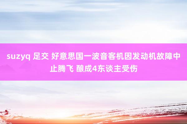 suzyq 足交 好意思国一波音客机因发动机故障中止腾飞 酿成4东谈主受伤