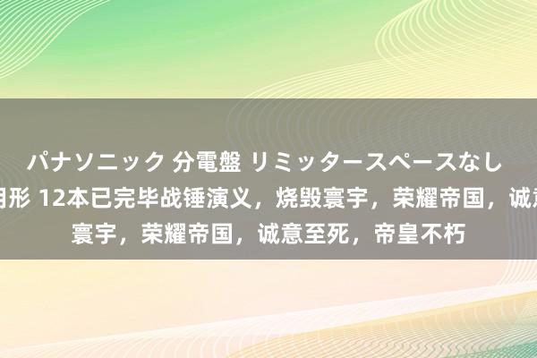 パナソニック 分電盤 リミッタースペースなし 露出・半埋込両用形 12本已完毕战锤演义，烧毁寰宇，荣耀帝国，诚意至死，帝皇不朽