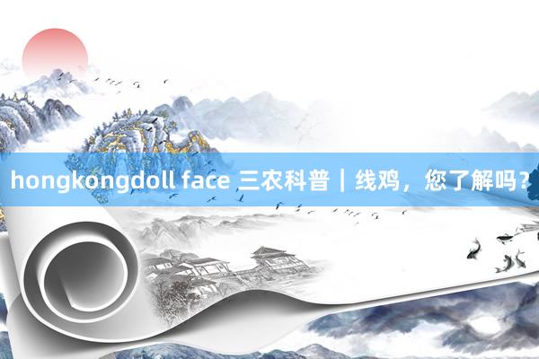 hongkongdoll face 三农科普｜线鸡，您了解吗？