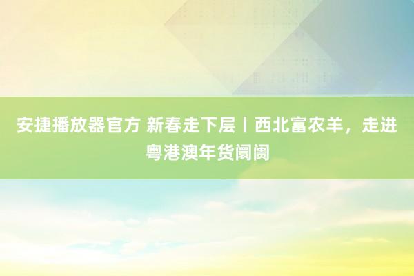 安捷播放器官方 新春走下层丨西北富农羊，走进粤港澳年货阛阓